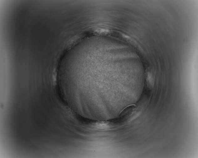 X0000088160668200705291912