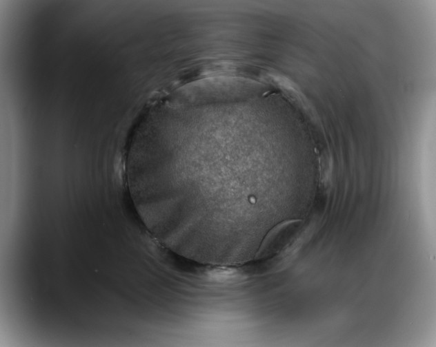 X0000088160669200705291912