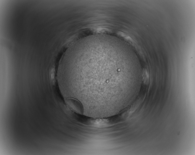 X0000088160670200705291912