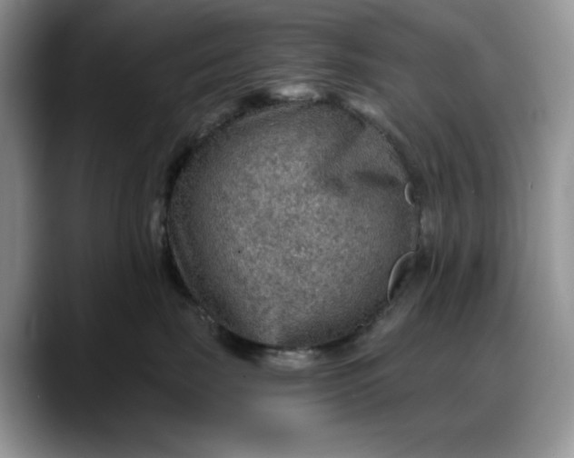 X0000088160671200705291913
