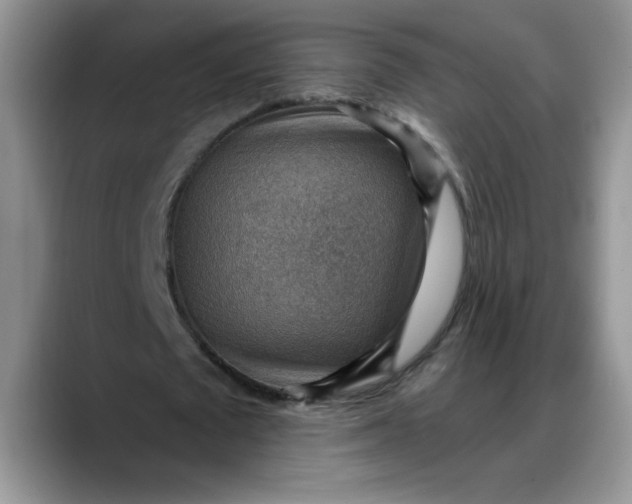 X0000088160673200705291912