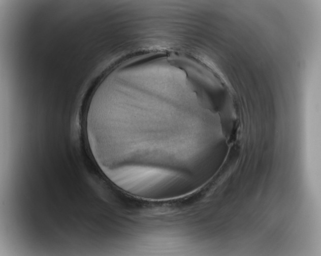 X0000088160674200705291912