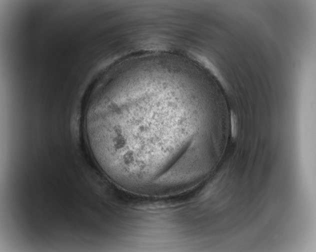 X0000088160675200705291912