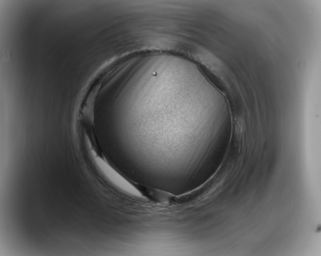 X0000088160676200705291912