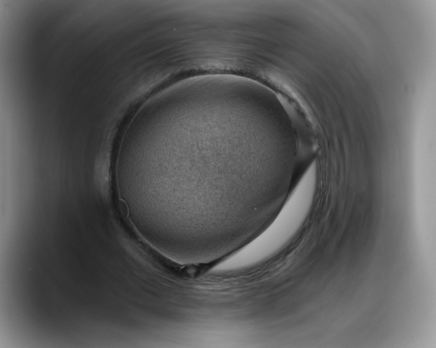X0000088160677200705291912