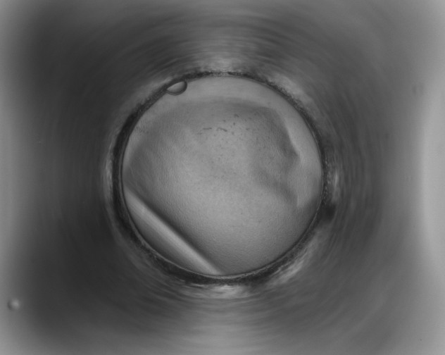 X0000088160678200705291912