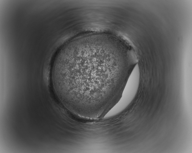 X0000088160679200705291912