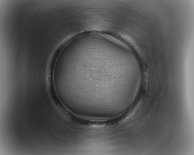 X0000088160680200705291912