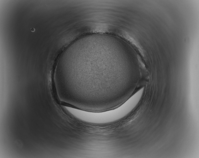 X0000088160681200705291912