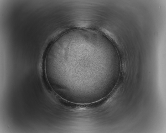 X0000088160682200705291912