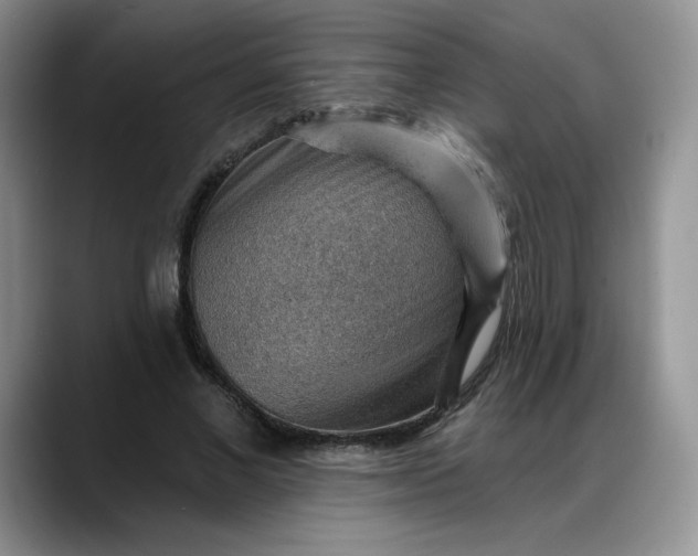 X0000088160685200705291912