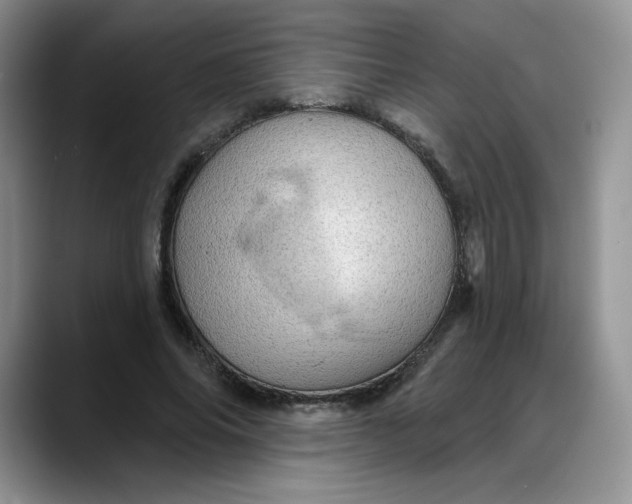 X0000088160686200705291912