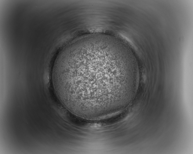 X0000088160687200705291912