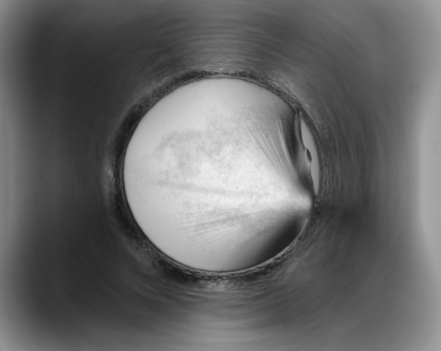 X0000088160688200705291912
