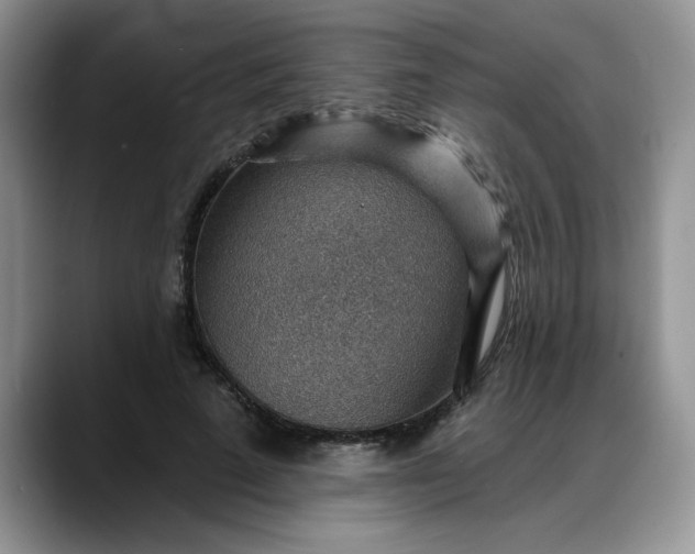 X0000088160689200705291912