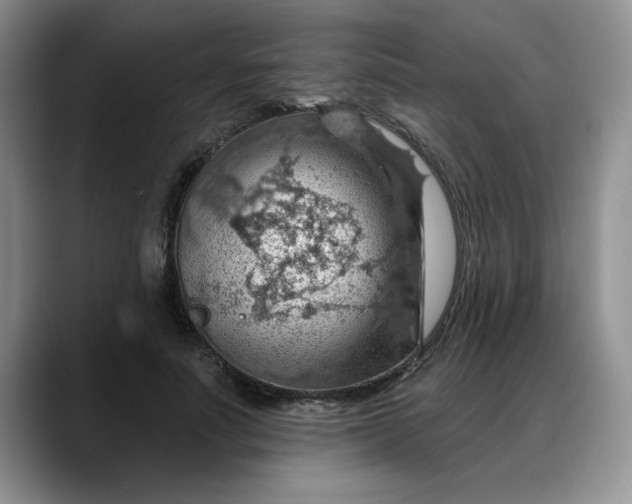 X0000088160691200705291912