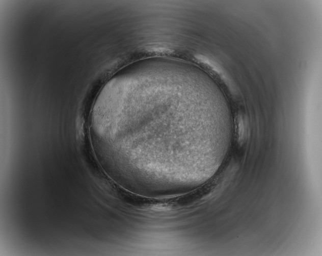 X0000088160692200705291912