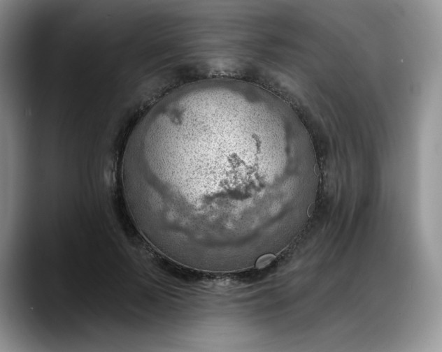 X0000088160695200705291912