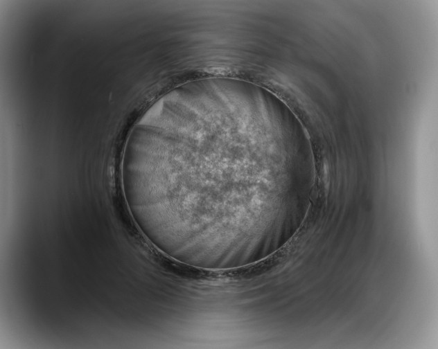 X0000088160696200705291912