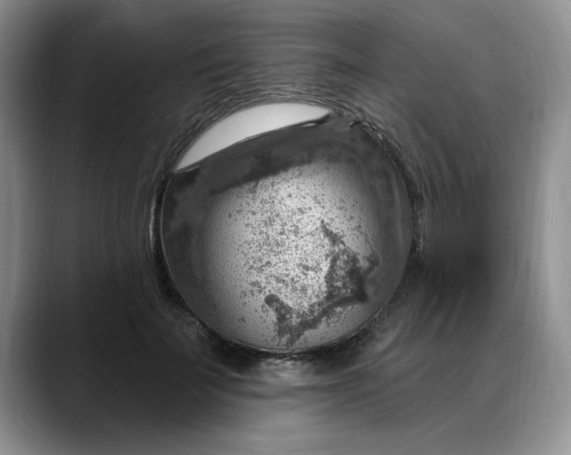 X0000088160699200705291912