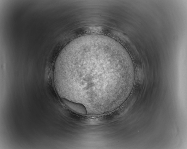 X0000088160701200705291912