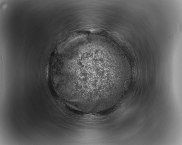 X0000088160703200705291912