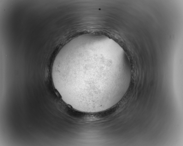 X0000088160704200705291911