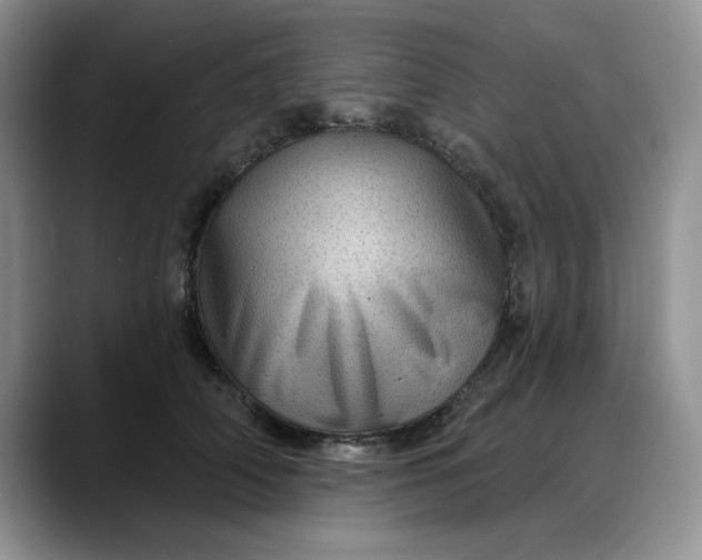 X0000088160706200705291911