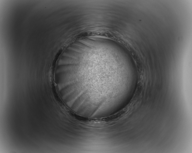 X0000088160708200705291911