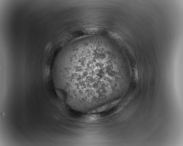 X0000088160711200705291911
