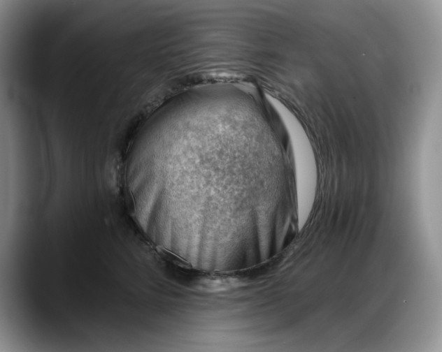 X0000088160712200705291911