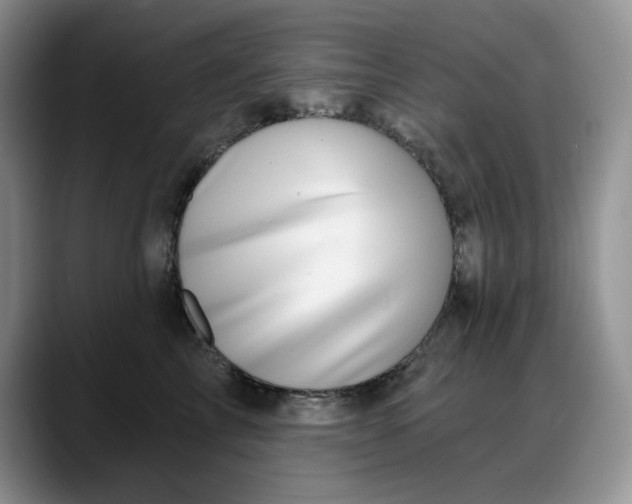 X0000088160713200705291911