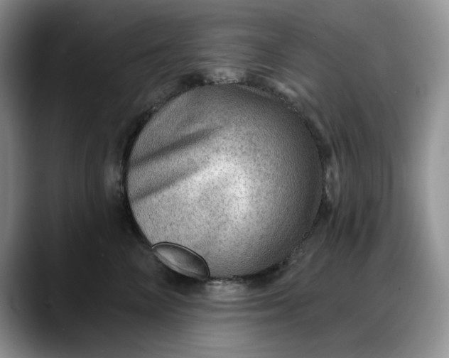 X0000088160714200705291911