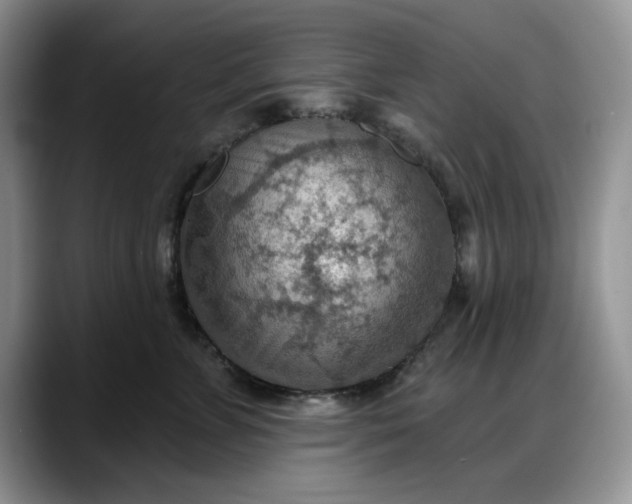 X0000088160715200705291911