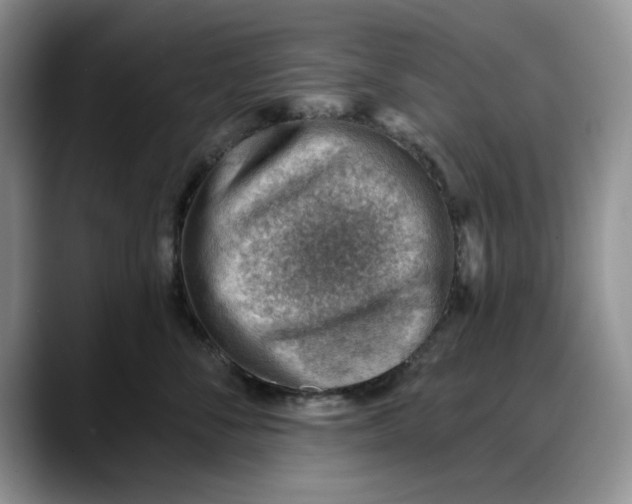 X0000088160716200705291911