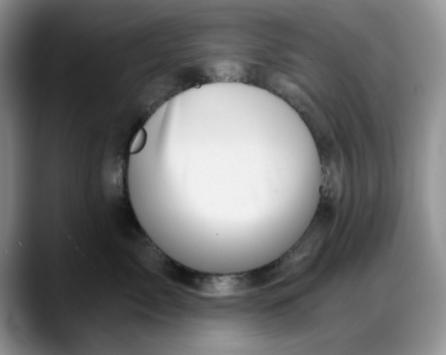 X0000088160717200705291911