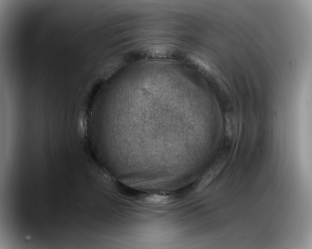X0000088160718200705291911