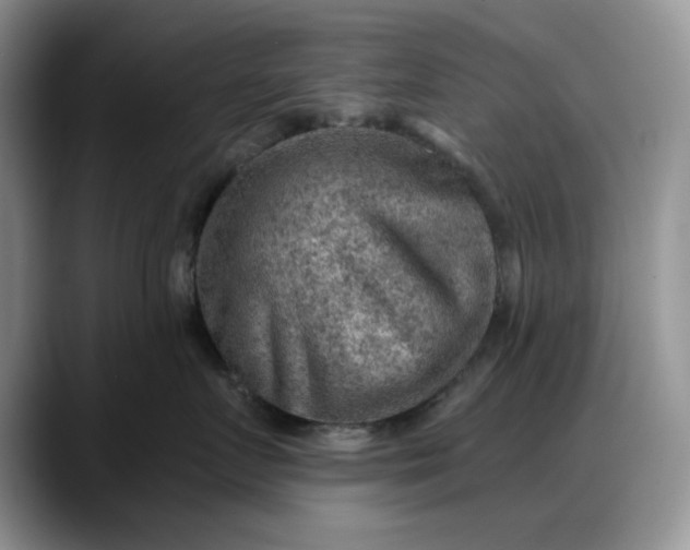 X0000088160719200705291911
