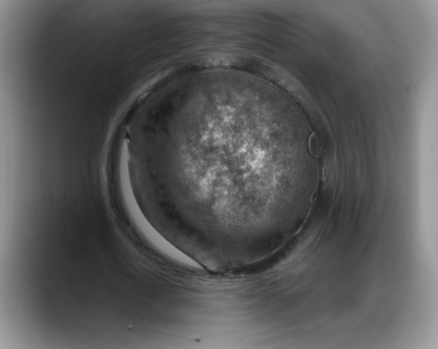 X0000088160722200705291911
