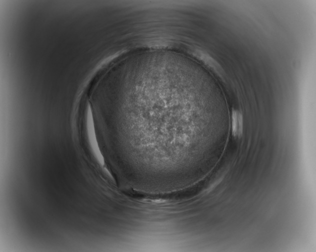 X0000088160723200705291911