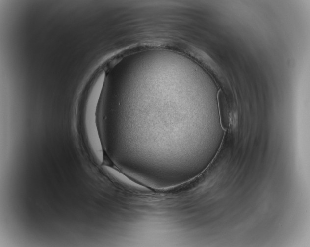 X0000088160724200705291911