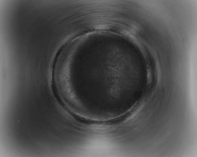 X0000088160725200705291911