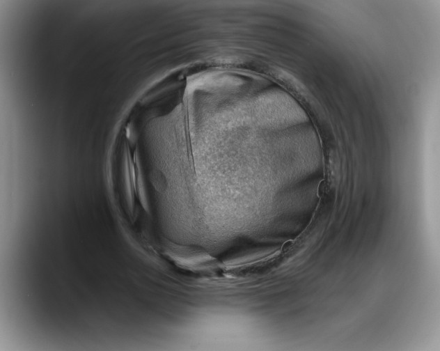 X0000088160726200705291911