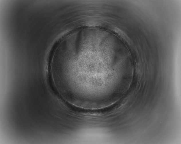 X0000088160727200705291911