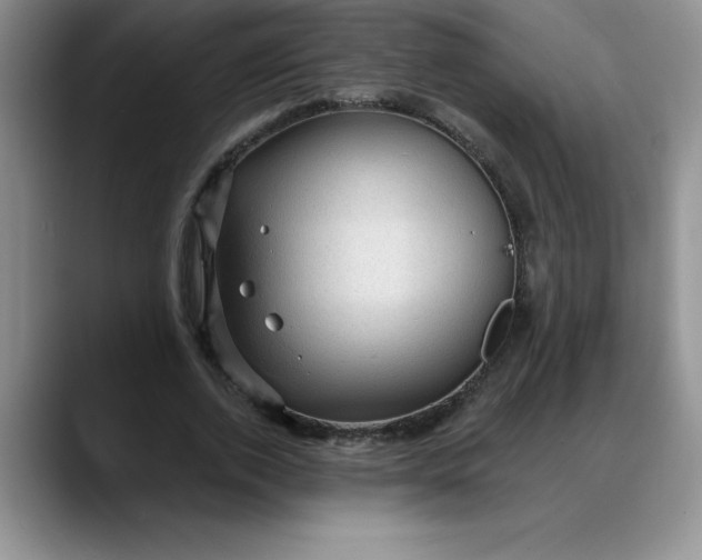 X0000088160728200705291911