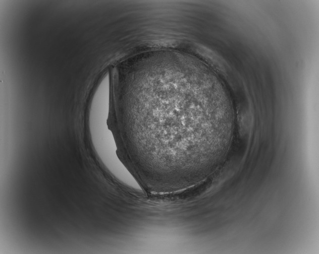 X0000088160729200705291911
