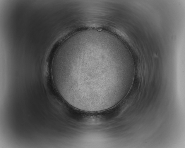 X0000088160731200705291911