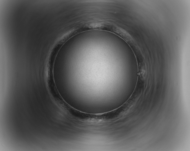 X0000088160732200705291911