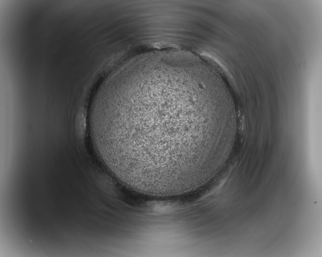 X0000088160733200705291911