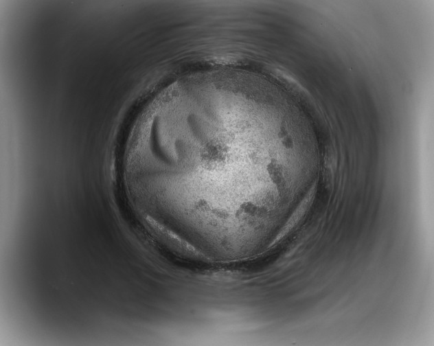 X0000088160734200705291911